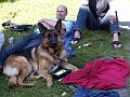 AUS31052009 (173)